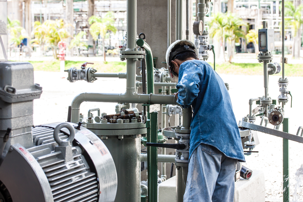 shutterstock_230965810