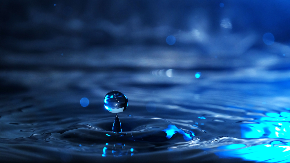 shutterstock_545763526